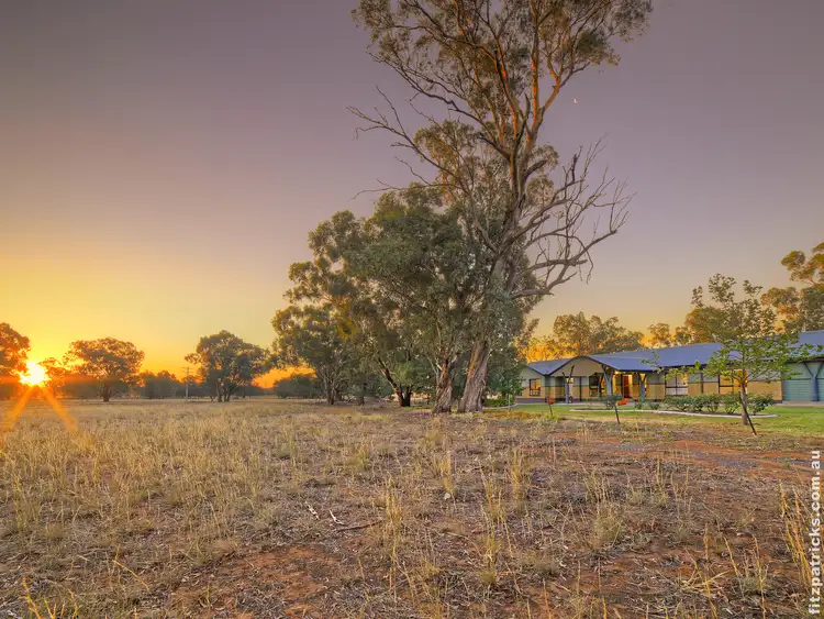 Fifth view of Homely rural property listing, 916 Old Narrandera Road, Euberta NSW 2650