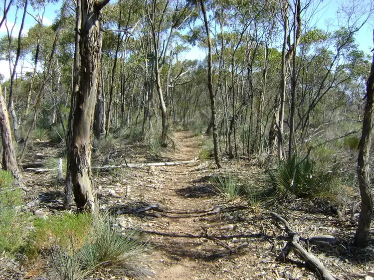 Main view of Homely land listing, LOT 35, 199 Malar Crescent, Booie QLD 4610