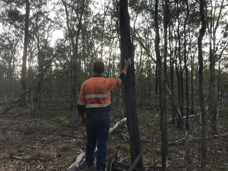 Sixth view of Homely rural property listing, St Lawrence Road, Ogmore QLD 4706