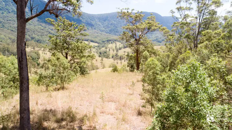 Lot 11 Everinghams Road, Pumpenbil NSW 2484