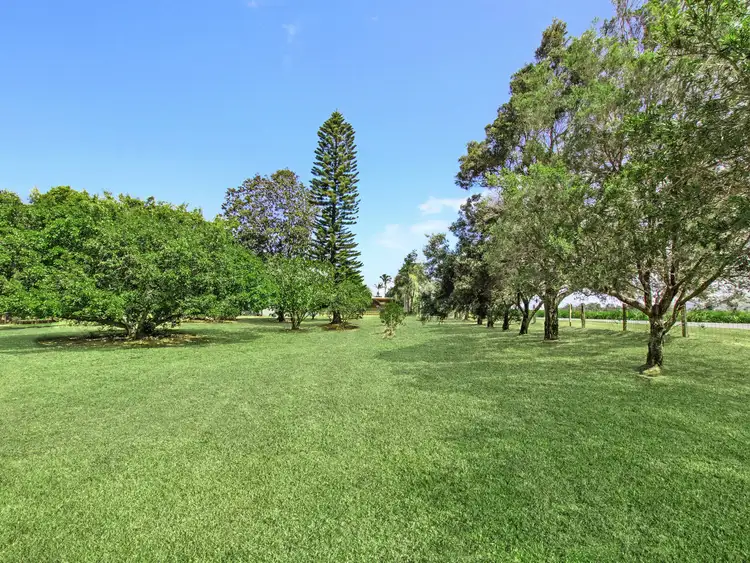 Sixth view of Homely house listing, 417 Pimlico Road, Pimlico NSW 2478