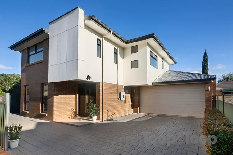 9A Robsart Street, Parkside SA 5063