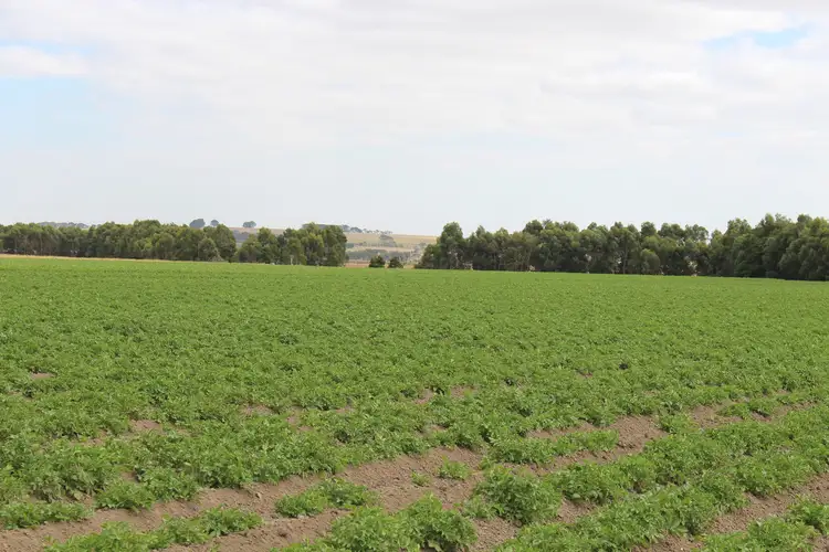 40 Gannons Road, Murroon VIC 3243