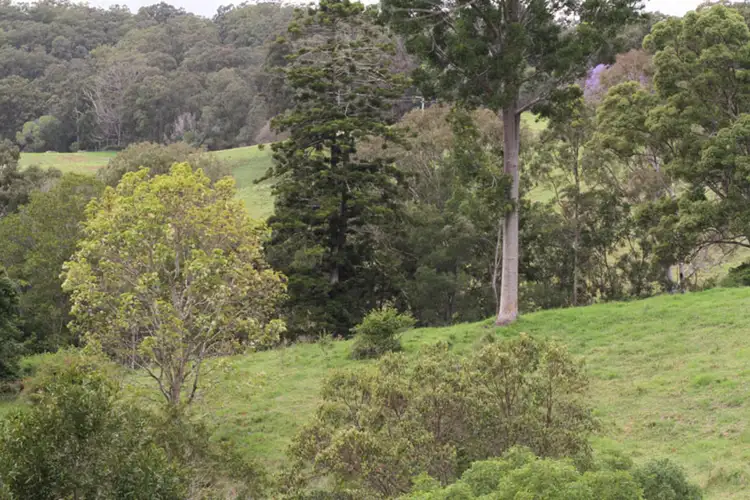 Fourth view of Homely land listing, 711 Louis Bazzo Drive, Cootharaba QLD 4565