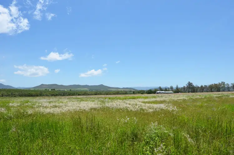Seventh view of Homely rural property listing, 5 Darrell Road, Dimbulah QLD 4872