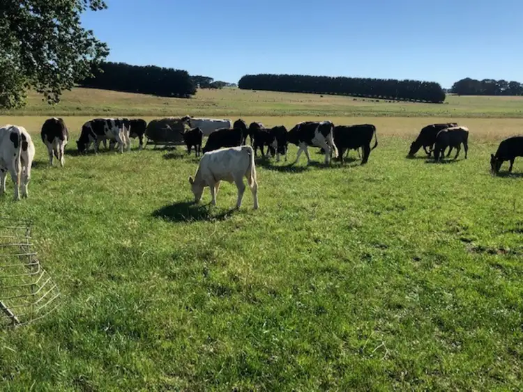 Second view of Homely land listing, Hamilton - Port Fairy Road, Macarthur VIC 3286