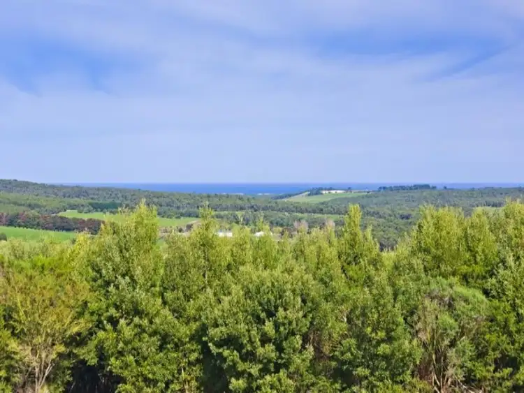 Fourth view of Homely house listing, 862 Eastern Creek Road, Princetown VIC 3269
