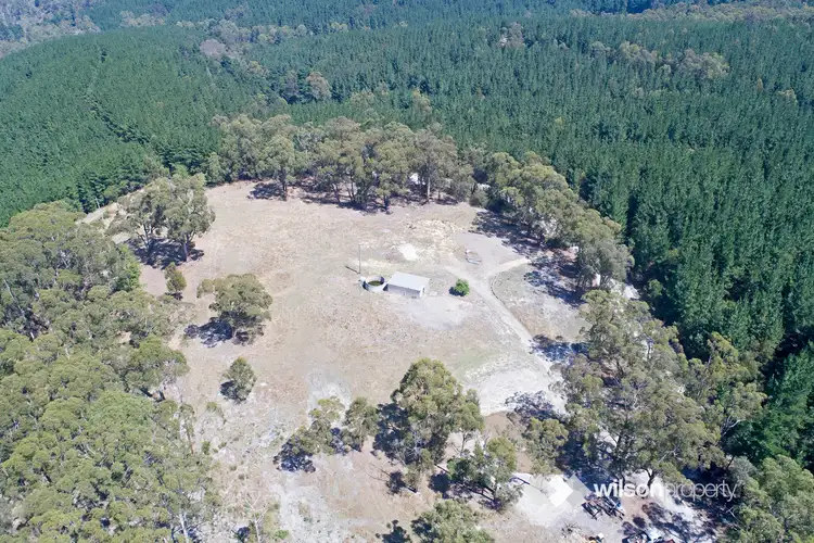 Fourth view of Homely land listing, 465 Tyers Walhalla Road, Tyers VIC 3844