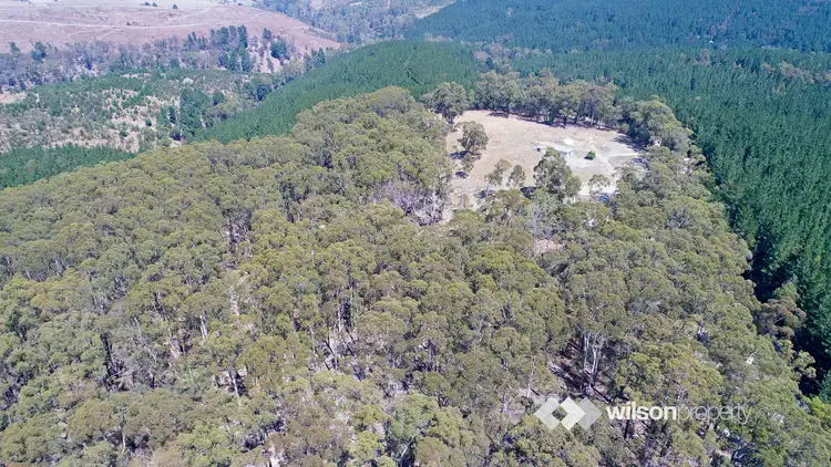 Fifth view of Homely land listing, 465 Tyers Walhalla Road, Tyers VIC 3844