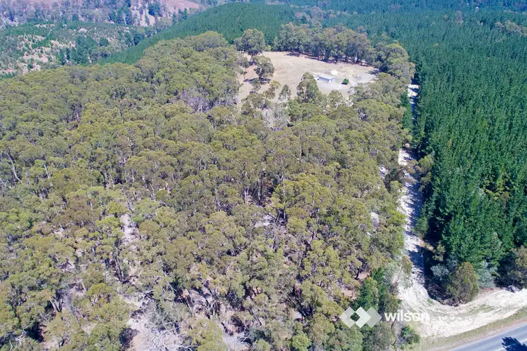 Sixth view of Homely land listing, 465 Tyers Walhalla Road, Tyers VIC 3844