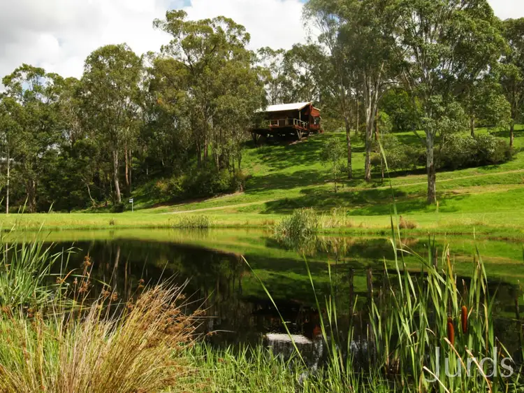 Fourth view of Homely rural property listing, 60 Mitchells Road, Mount View NSW 2325