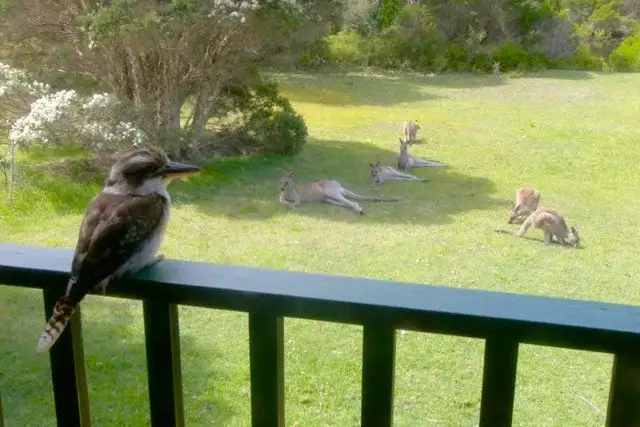 Second view of Homely house listing, 1 Hapgood Close, Kioloa NSW 2539