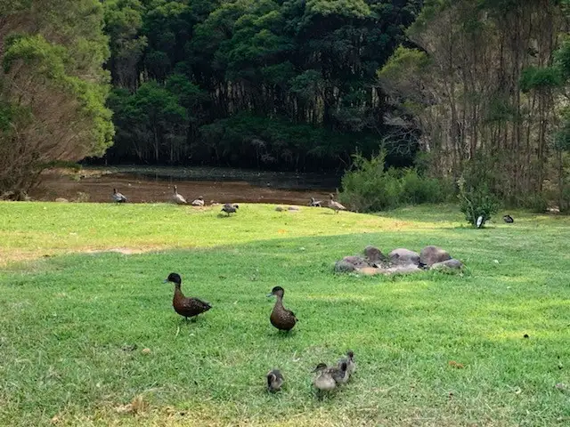 Third view of Homely house listing, 1 Hapgood Close, Kioloa NSW 2539