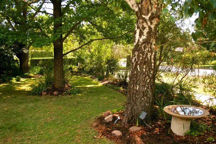 Third view of Homely house listing, 10 McKinlay Street, Narrabundah ACT 2604
