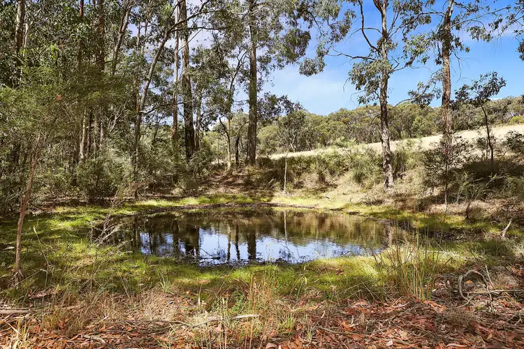 Third view of Homely rural property listing, 2950 Colac-Forrest Road, Forrest VIC 3236
