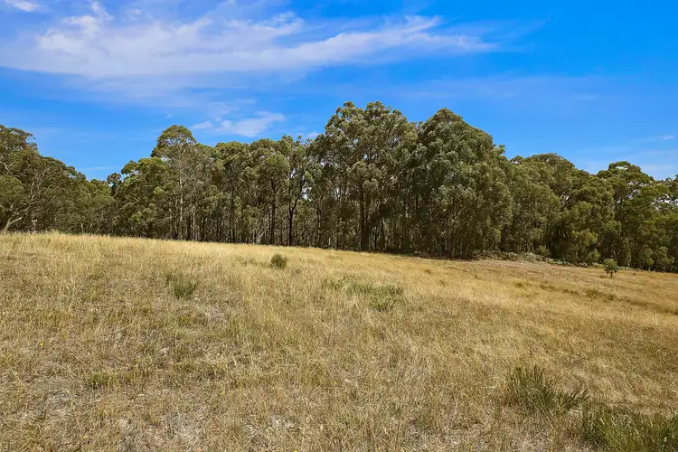 Fifth view of Homely rural property listing, 2950 Colac-Forrest Road, Forrest VIC 3236