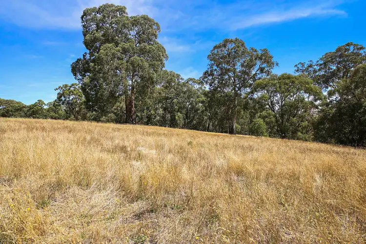 Sixth view of Homely rural property listing, 2950 Colac-Forrest Road, Forrest VIC 3236