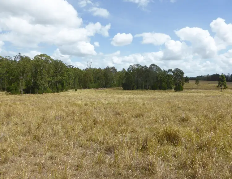 Main view of Homely rural property listing, 160 Crawfords Road, Casino NSW 2470