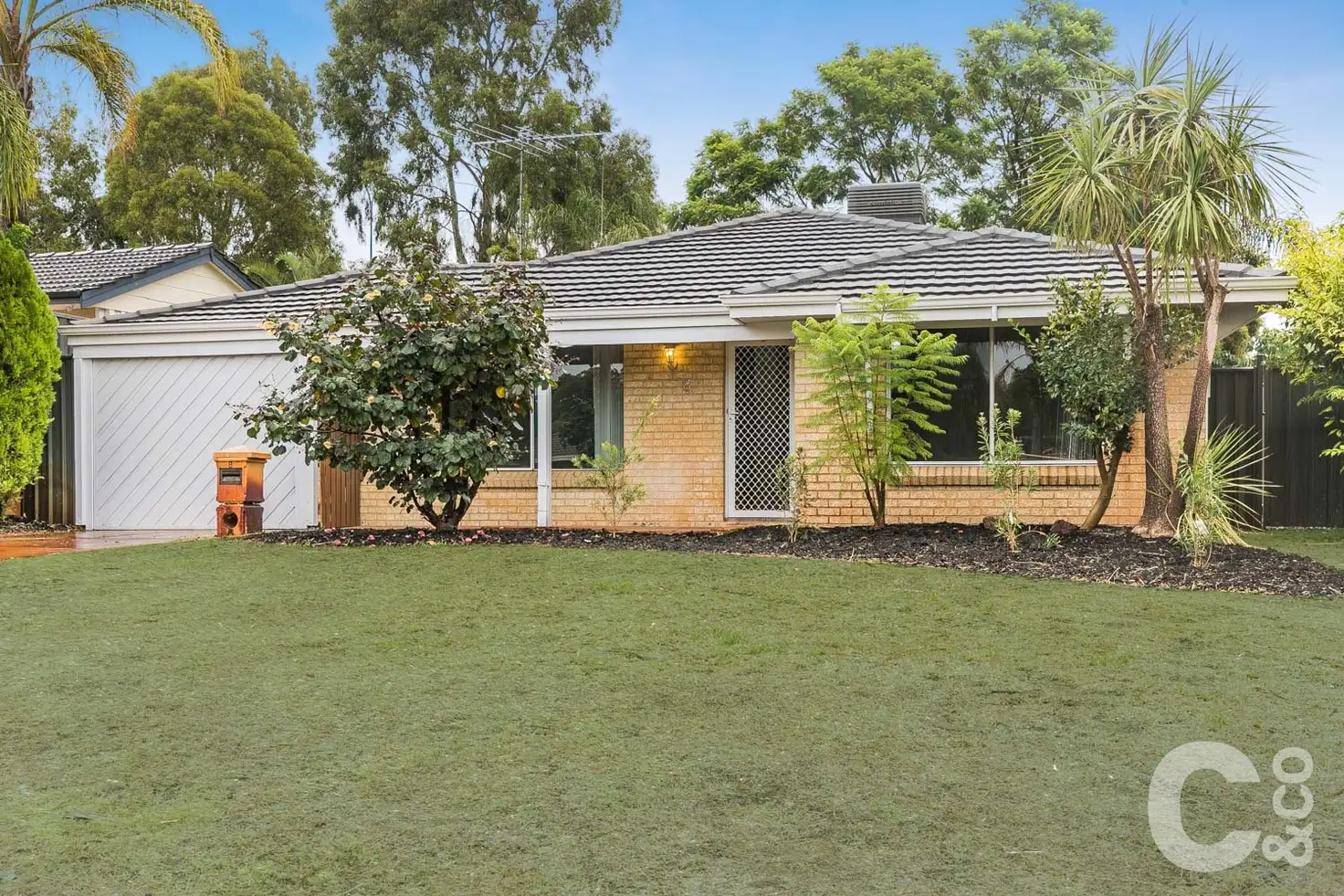 Main view of Homely house listing, 8 Murry Mews, Leda WA 6170