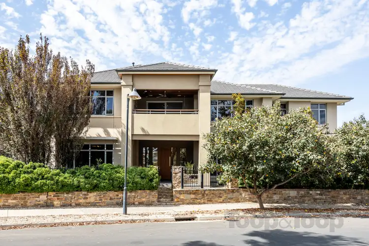 36 Douglas Drive, Mawson Lakes SA 5095