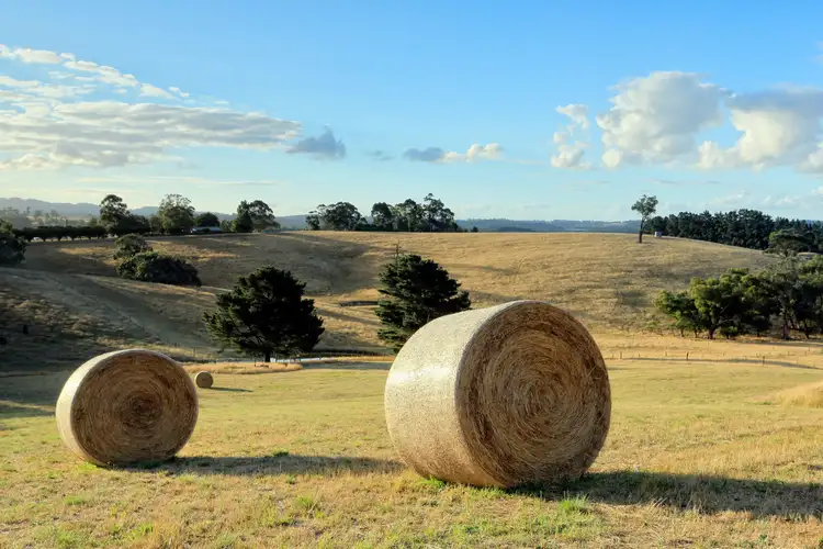 Fourth view of Homely house listing, 141 Spillers Road, Macclesfield VIC 3782