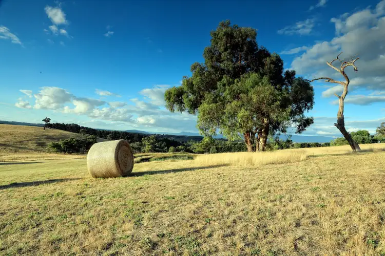 Fifth view of Homely house listing, 141 Spillers Road, Macclesfield VIC 3782