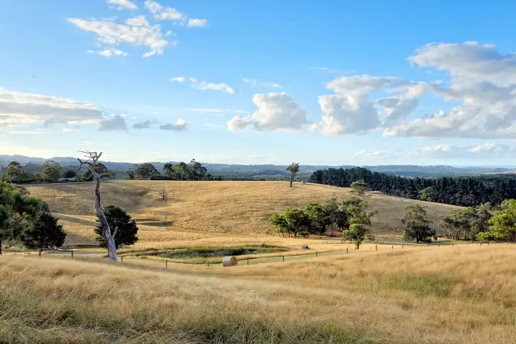 Sixth view of Homely house listing, 141 Spillers Road, Macclesfield VIC 3782