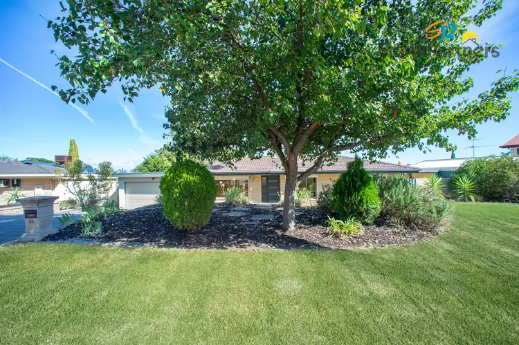 Main view of Homely house listing, 24 Alicante Avenue, Wynn Vale SA 5127