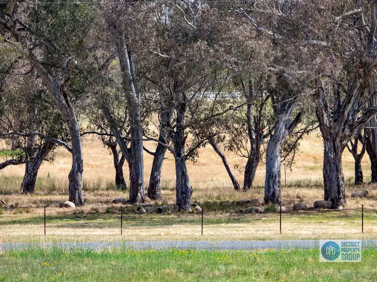 Main view of Homely land listing, lot 16 Loyola Run, Mansfield VIC 3722