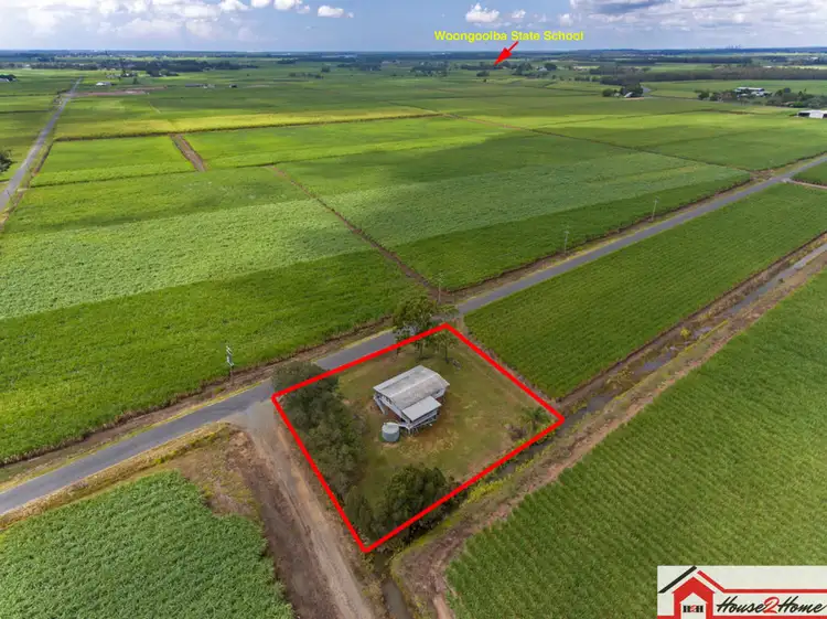 Main view of Homely house listing, 73 Cooks Road, Woongoolba QLD 4207