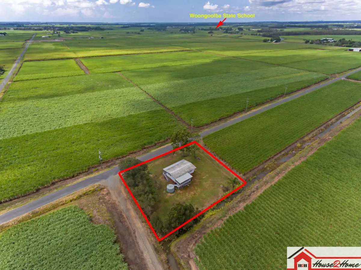 Main view of Homely house listing, 73 Cooks Road, Woongoolba QLD 4207