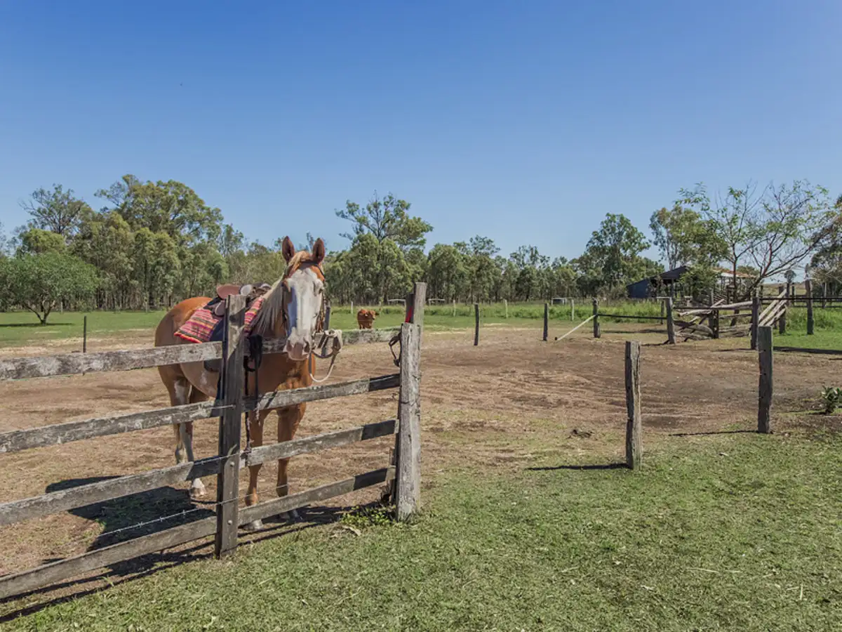 Main view of Homely rural property listing, 681 Ipswich-Boonah Road, Purga QLD 4306