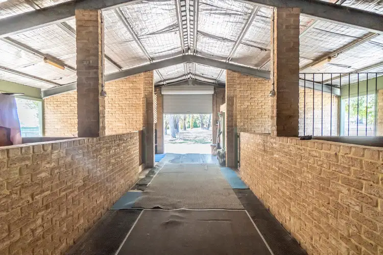 Sixth view of Homely house listing, 141 Belgrade Road, Wanneroo WA 6065