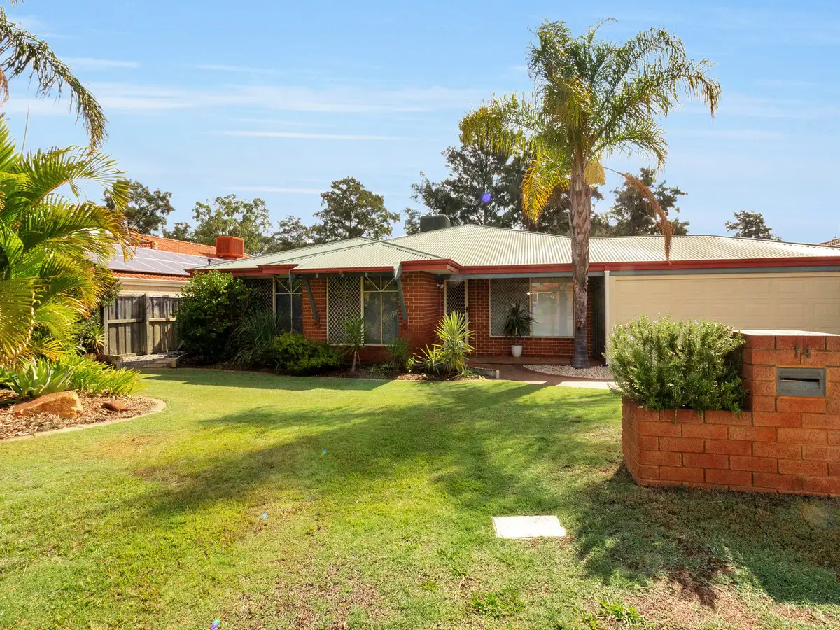 Main view of Homely house listing, 14 Fringe Lily Crescent, Ellenbrook WA 6069