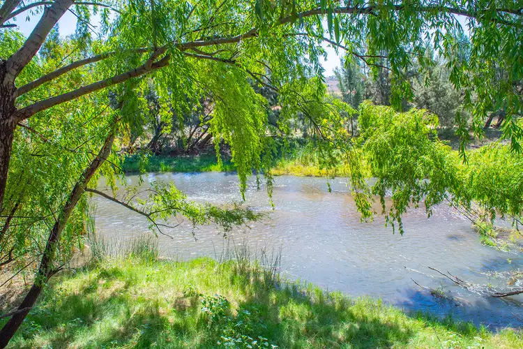 Second view of Homely rural property listing, 570 Bureen Road, Denman NSW 2328