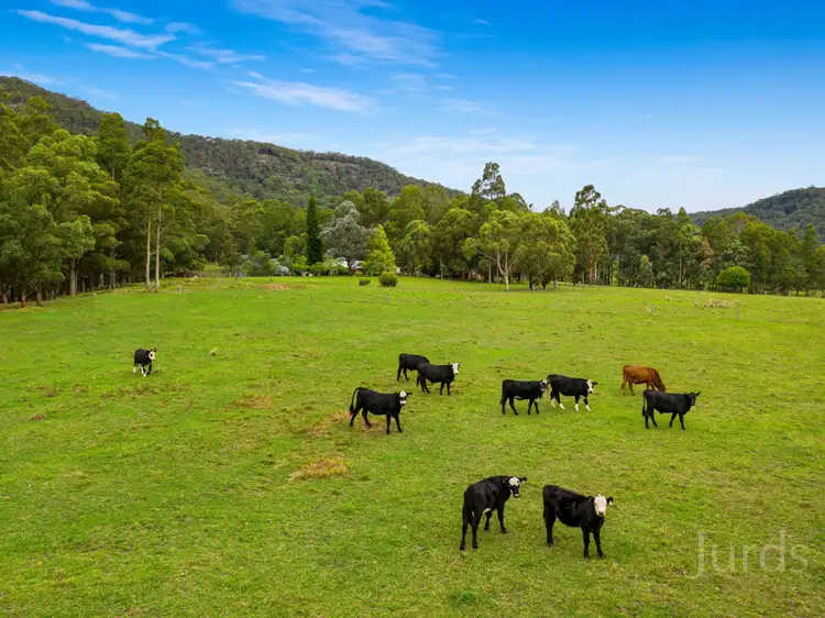 Fourth view of Homely rural property listing, 325 Whitings Lane, Quorrobolong NSW 2325