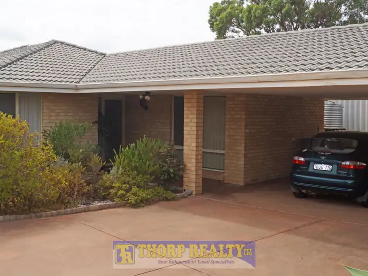 Main view of Homely unit listing, 10A Daphne Street, Castletown WA 6450