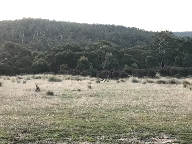 Second view of Homely land listing, LOT 62 Creewah Road, Creewah NSW 2631