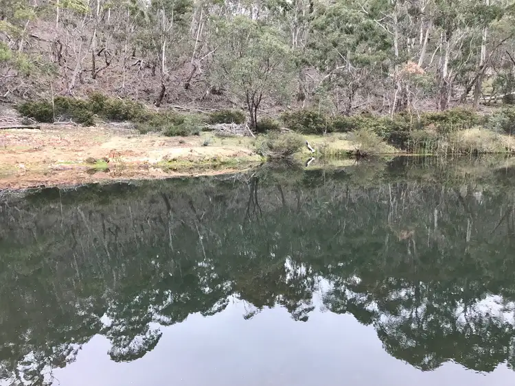 Fourth view of Homely land listing, LOT 62 Creewah Road, Creewah NSW 2631