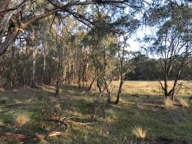 Sixth view of Homely land listing, LOT 62 Creewah Road, Creewah NSW 2631
