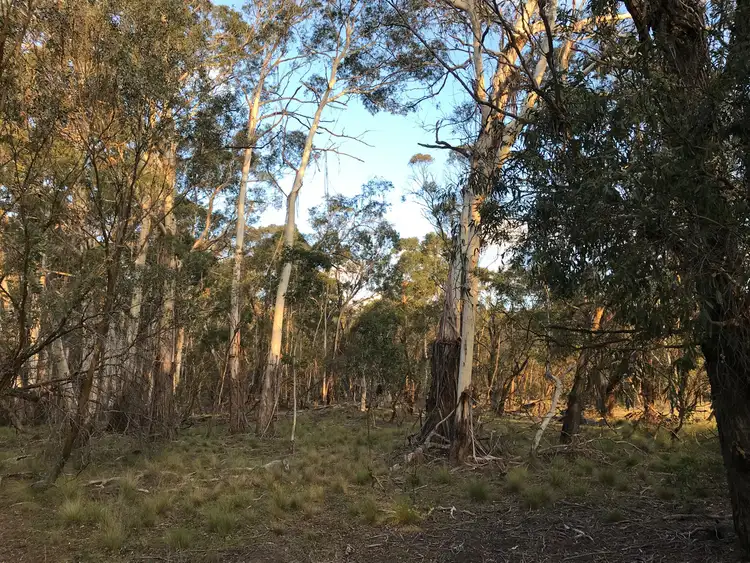 Seventh view of Homely land listing, LOT 62 Creewah Road, Creewah NSW 2631