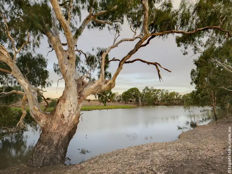 Third view of Homely rural property listing, 55 Flowerdale Road, Moorong NSW 2650