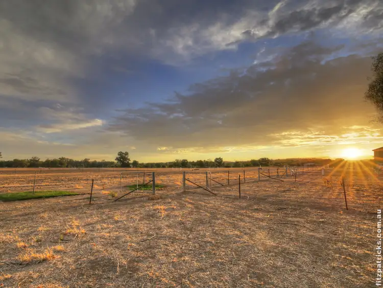 Seventh view of Homely rural property listing, 55 Flowerdale Road, Moorong NSW 2650