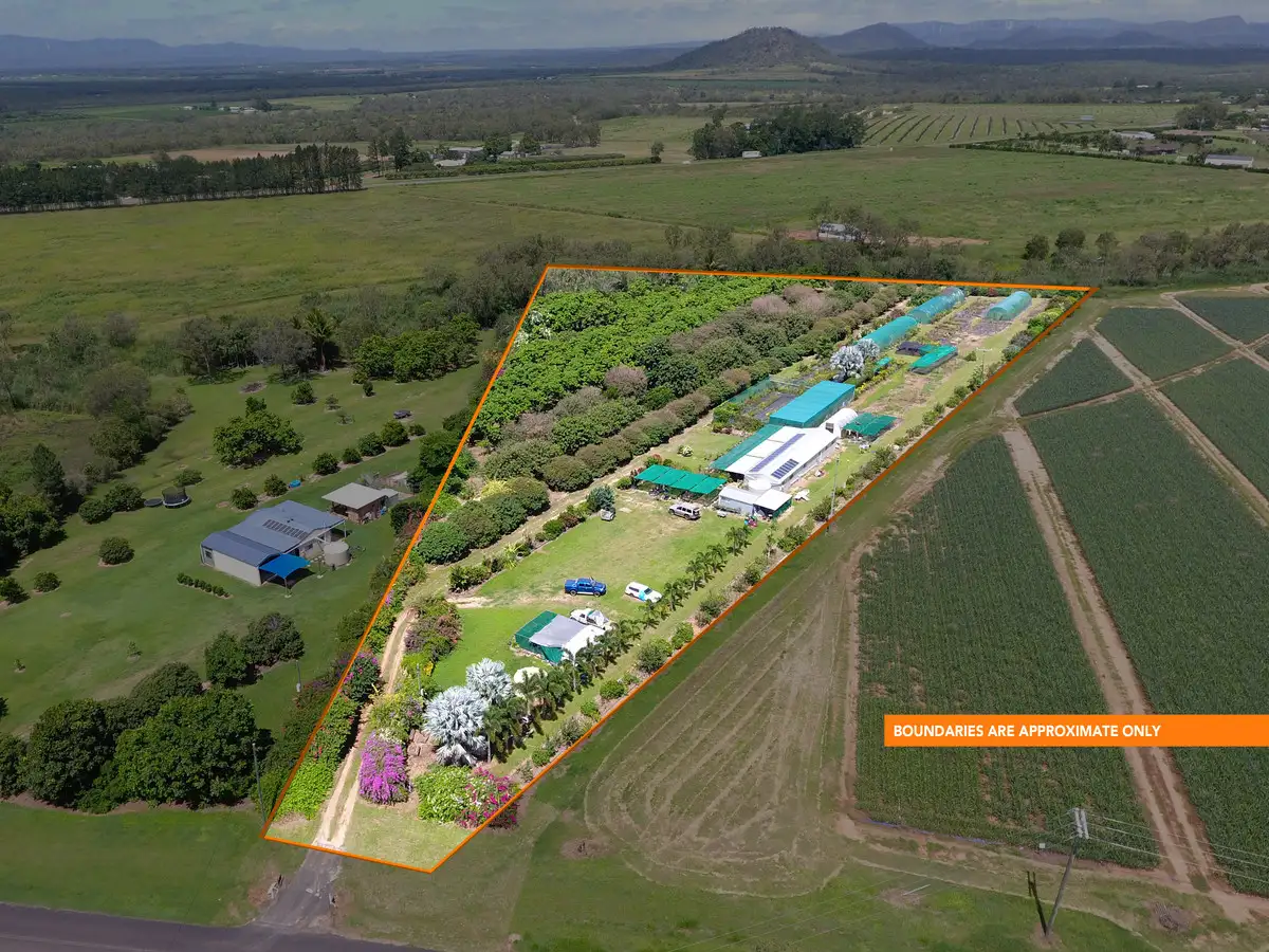 Main view of Homely rural property listing, 77 Carman Road, Mareeba QLD 4880