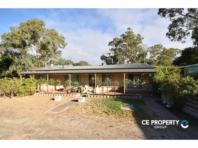 Main view of Homely house listing, 41 Melrose Street, Mount Pleasant SA 5235