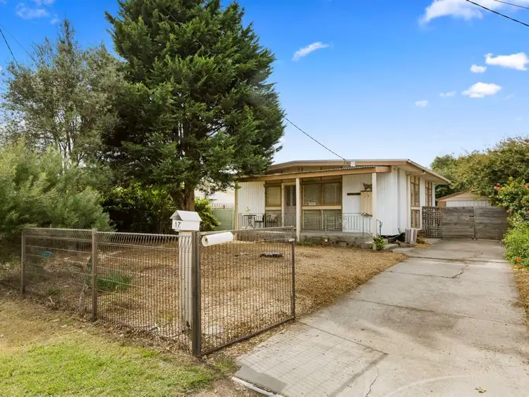 Main view of Homely house listing, 17 Clovelly Avenue, Rosebud VIC 3939