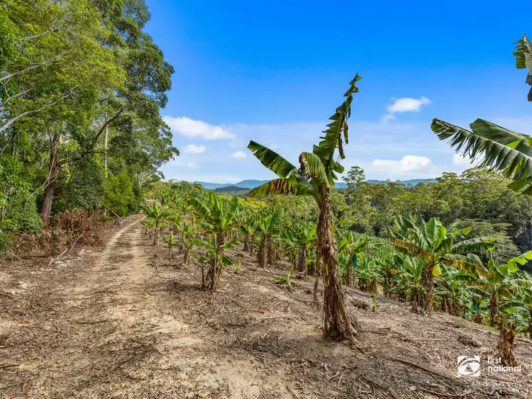 Seventh view of Homely rural property listing, 2 Minnows Road,, Dunbible NSW 2484