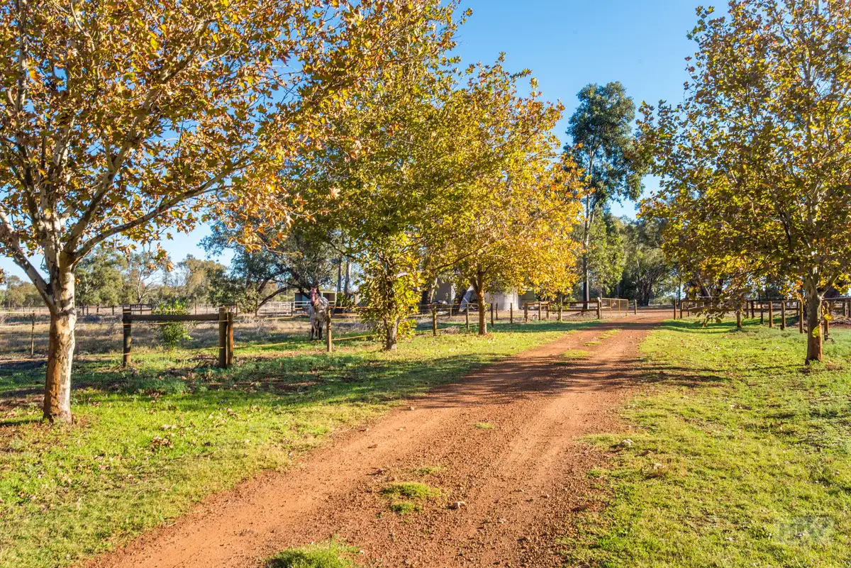 Main view of Homely house listing, 1683 Great Northern Highway, Upper Swan WA 6069