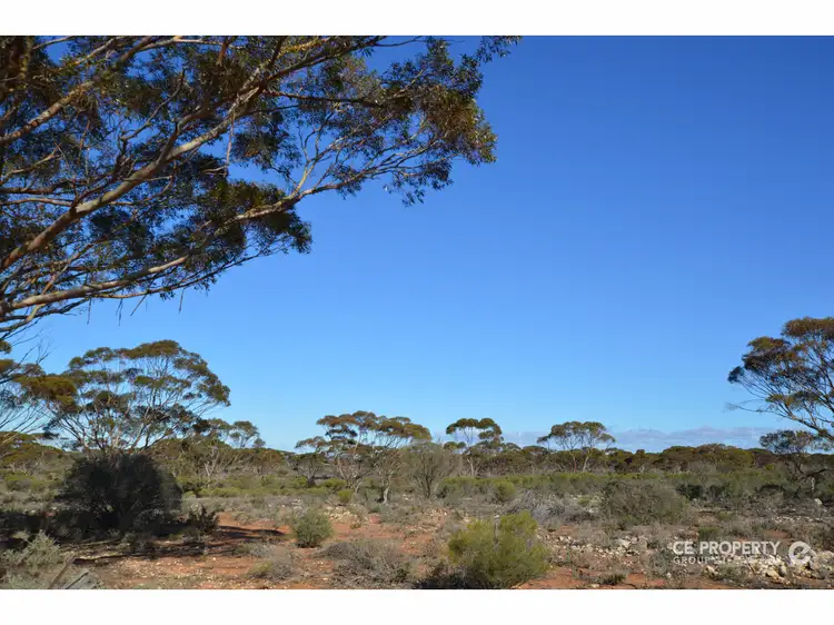 Second view of Homely rural property listing, Address available on request