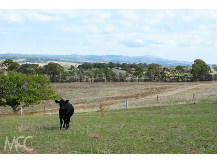 Sixth view of Homely rural property listing, LOT 100 Emu Swamp Road, Orange NSW 2800